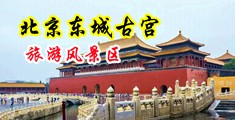 乌鸦传媒AV空姐被上司抠逼狂操第一集中国北京-东城古宫旅游风景区